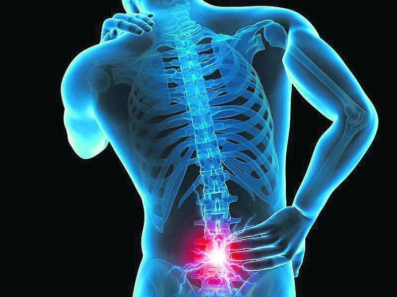 low back pain skeleton