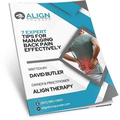 Back pain guide cover